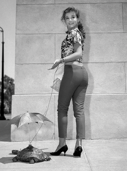 Image of actress Ann-Margret, pictured here walking a tortoise on the set of Bye Bye Birdie. lazy