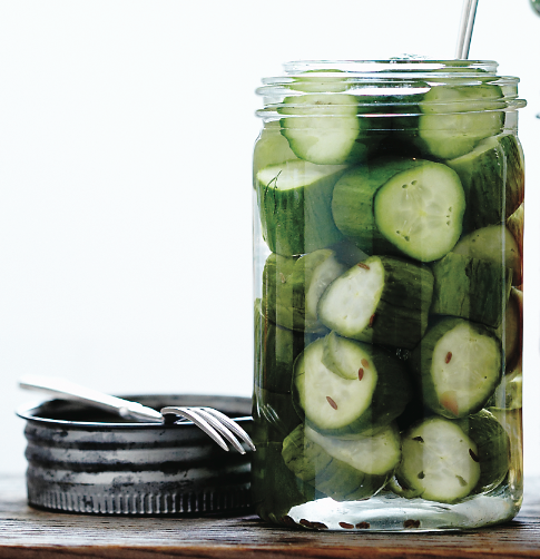 Cucumber-fennel quick pickles