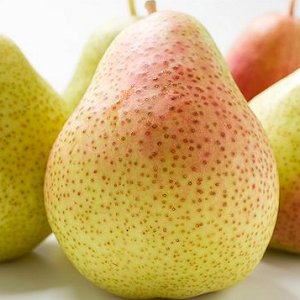 Savoury pear stuffing