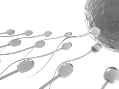 New studies show men face the same infertility problems as women
