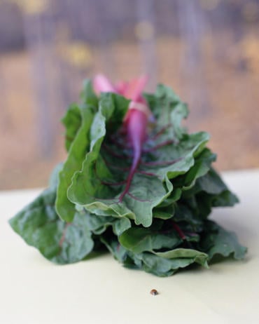Veggies, salads, leafy greens and health benefits