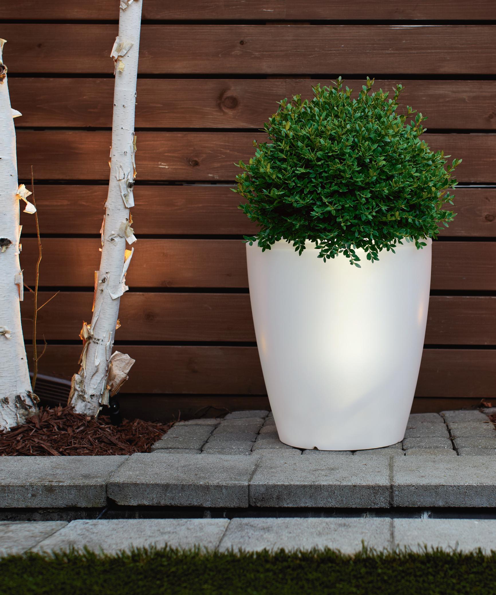 Brighten up a simple planter
