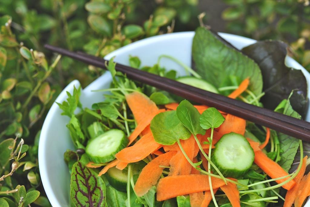 Watercress, cucumber, carrot salad recipe