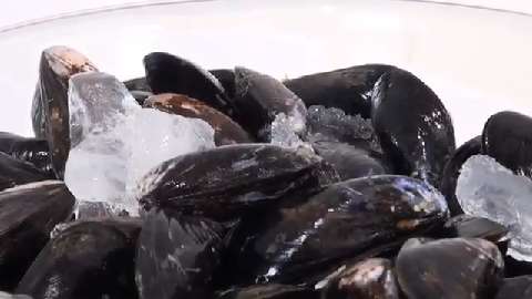 How to clean and cook mussels