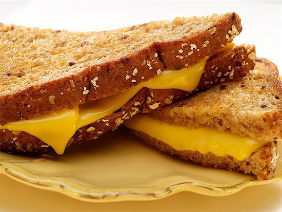 Grilled cheese sandwich on multigrain