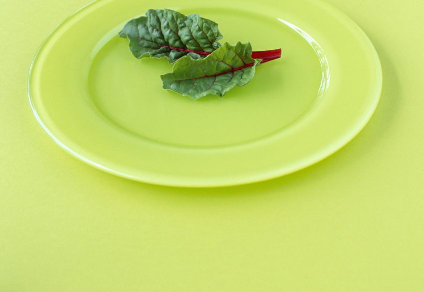 empty plate with lettuce leaves