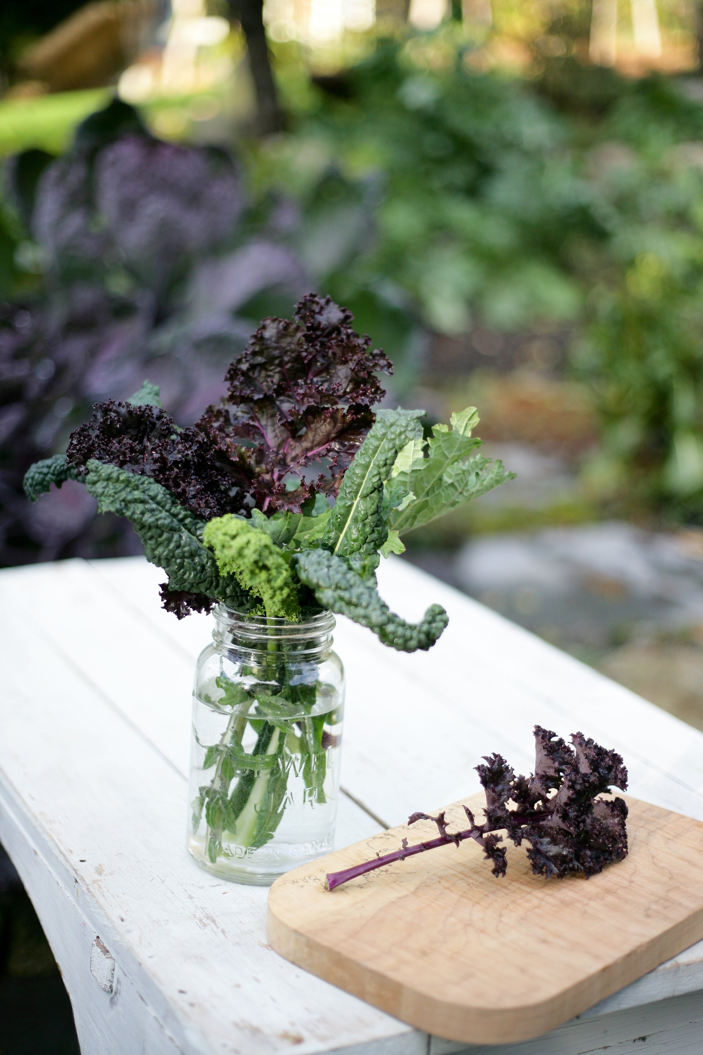 Two healthy recipes with kale