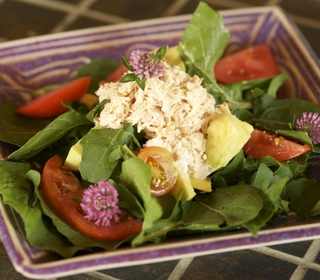 Rejuvinating Arugula Salad