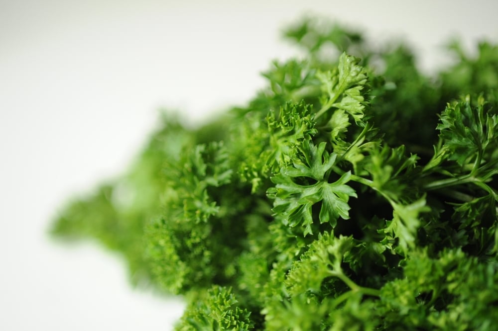Five health benefits of parsley and a detoxifying shake