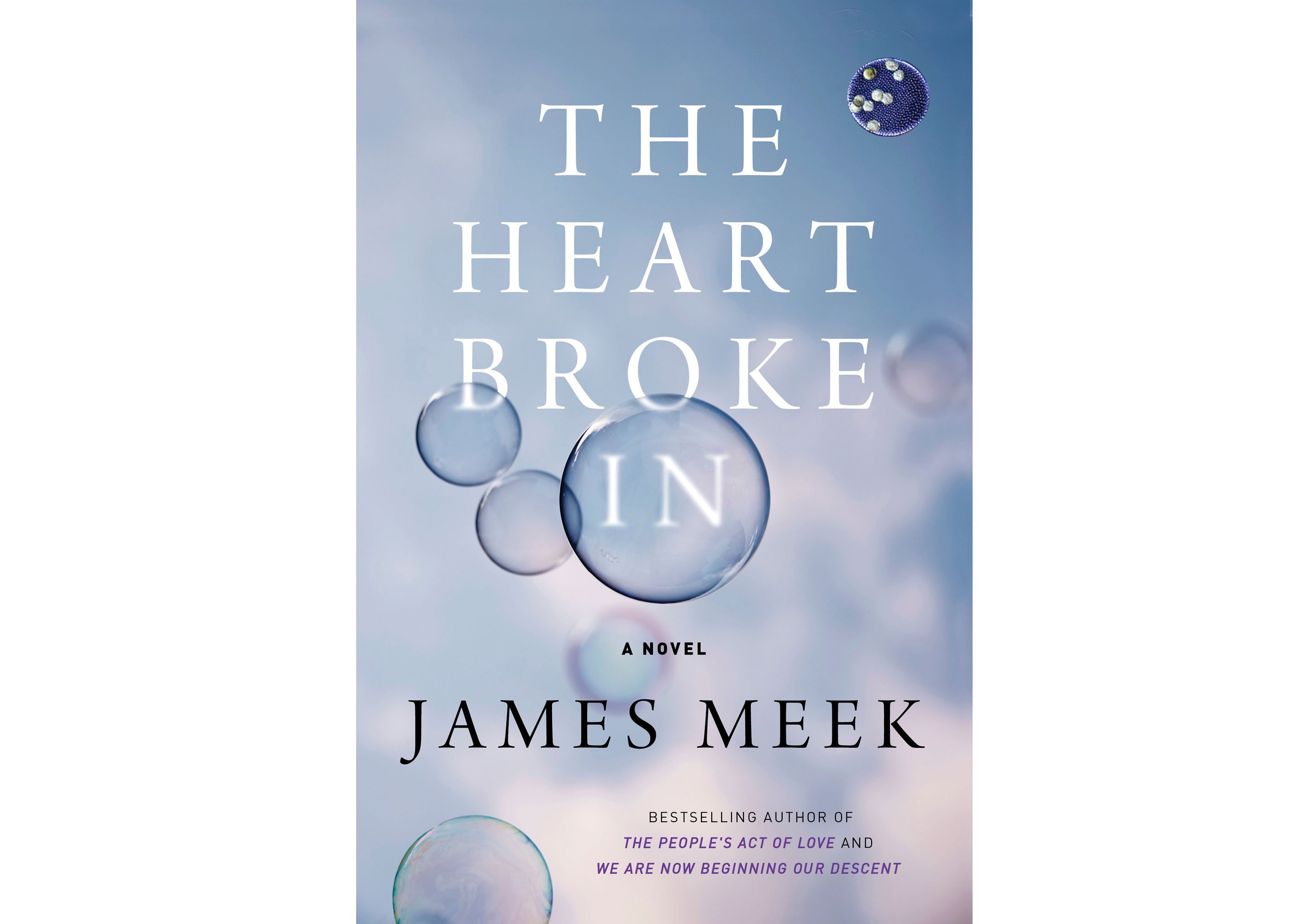 The Heart Broke In book cover