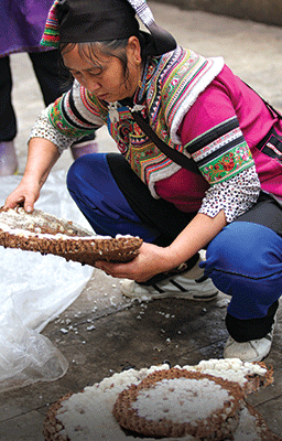 China-street-vendor-food-wasp-larvae-eating-adventure