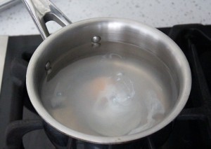 Egg sitting in hot water
