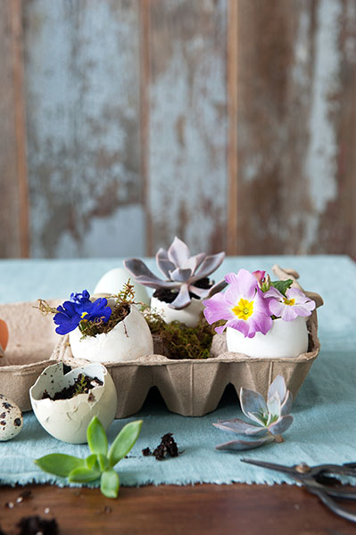 DIY easter decorating mini eggshell garden takeaways Photo, Sian Richards