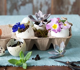 How to make mini eggshell-garden party favours