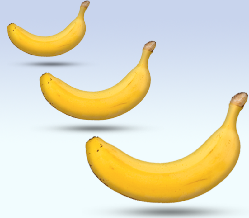Banana penis size comparison