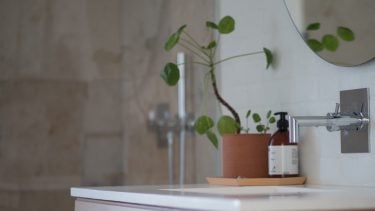 bathroom organization- a plant and a jar of soap sits on a very clean bathroom counter