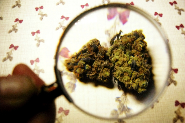Marijuana health facts: how weed affects women