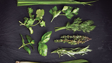 How to keep herbs green: chives, cilantro, parsley, dilll, thyme, basil, mint, tarragon and green onion on a black board