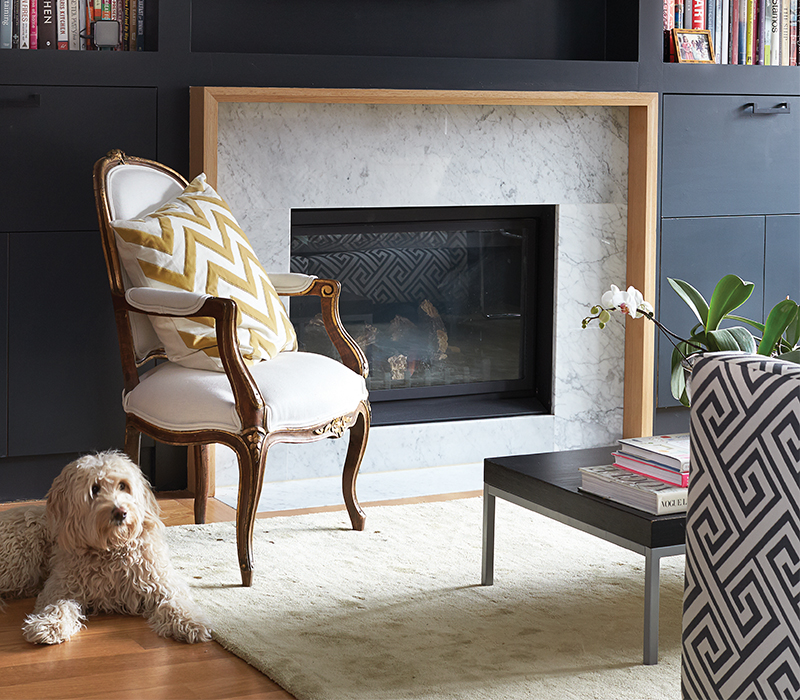 10 pets lounging in beautiful interiors that will give you the warm fuzzies