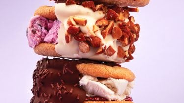 Peanut butter cookie ice cream sandwiches