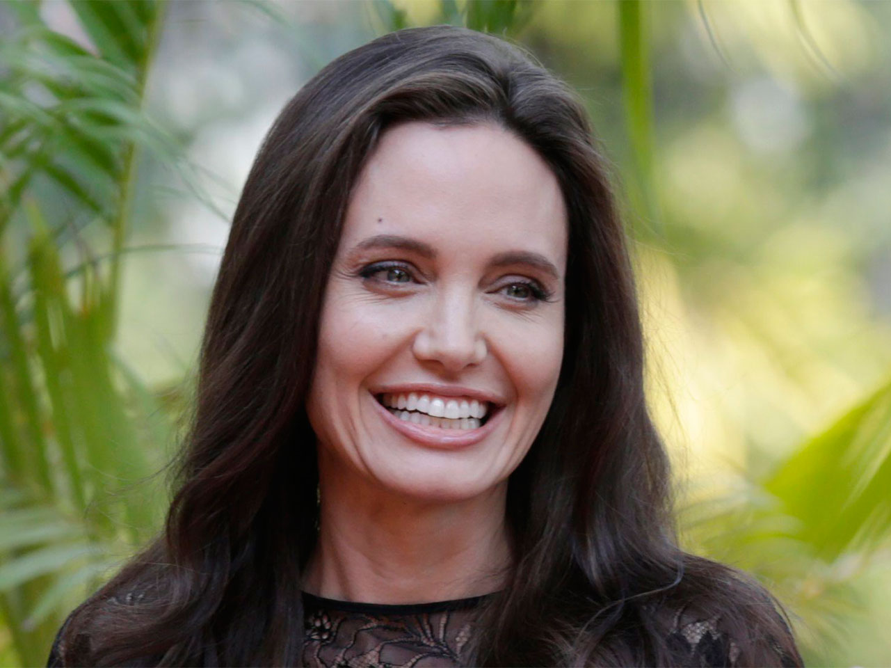 Angelina Jolie celebrity divorce