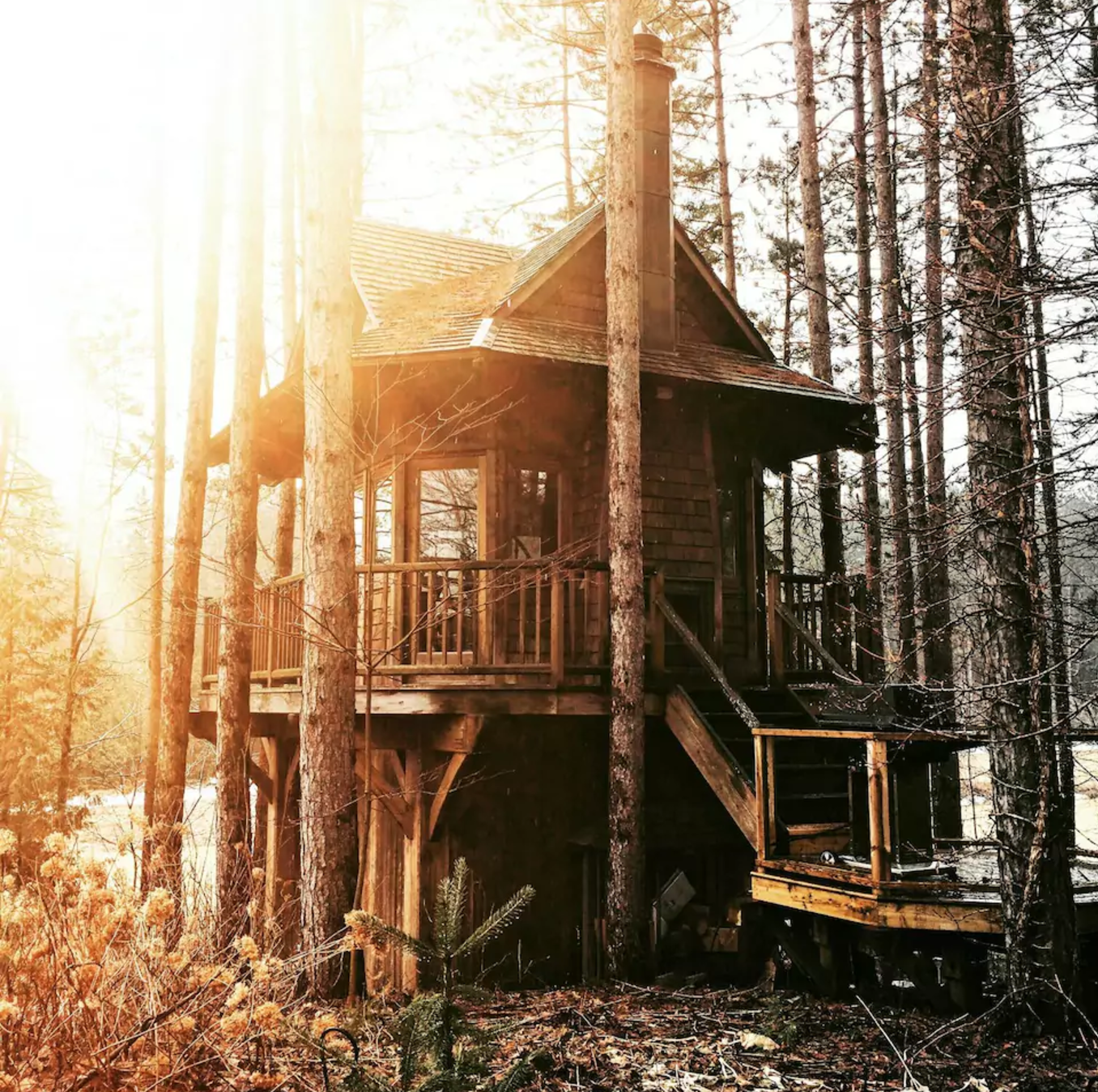 The 7 Best Airbnb Treehouses  In Canada Chatelaine