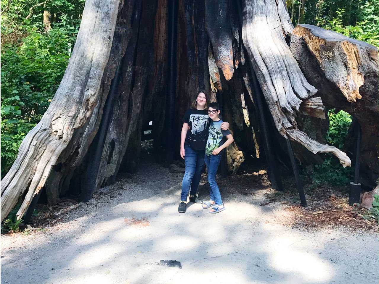 trans daughter-Zoe and Amanda's two children pose at the foot of a giant tree while on family vacation.