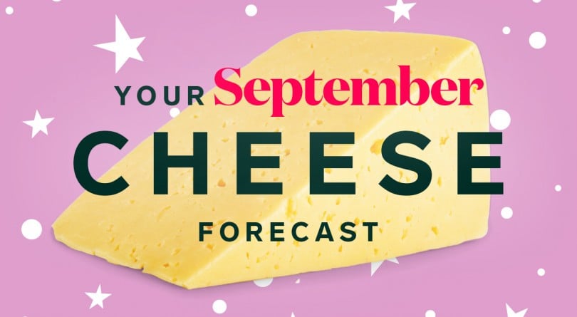 Your September Cheese Forecast in type overlaying a large piece of Swiss cheese on a pink background: award-winning canadian cheeses