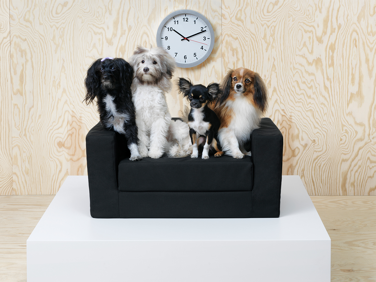 Ikea Just Launched A Pet Line — 16 Surprisingly Cool Items To Buy Now, Including A Mini Sofa