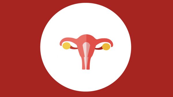 endometrial ablation