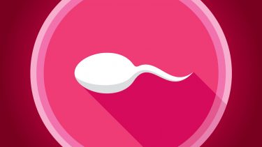 sperm against pink backdrop