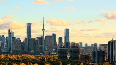 A view of the Toronto city skyline in the fall at sunset, colourful leaves (a problem for pollen allergy sufferers) at the bottom of the frame, the CN tower surrounded by other Toronto building in the center, and a blue-orange sky at the top