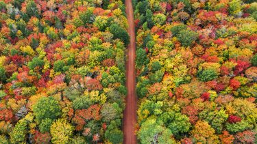 best-fall-colours-canada: Birds eye view of Confederation Trail in PEI and trees in green, yellow, red, and orange