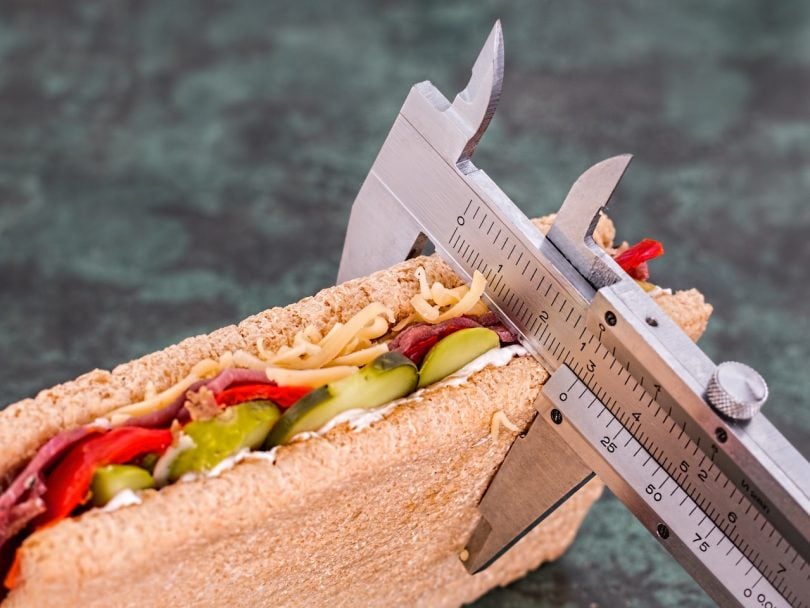 WeightWatchers rebrand - a measuring device measures size of a sandwich