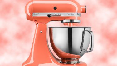 Bird of Paradise five quart stand mixer, in Pantone Colour of the year 2019 living coral
