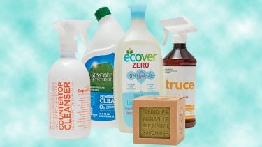 Eco-friendly cleaning products: 2 spray bottles, 1 toilet cleaner, 1 dish soap bottle, 1 soap cube on blue cloud background