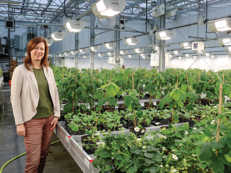 Chemist Annett Rozek stands by plants in indoor farm