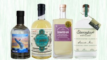 Kelp and Seaweed infused gins: Fundy Gin, St Laurent Gin, Seaweed Gin, and Seaside Gin on green patterned background