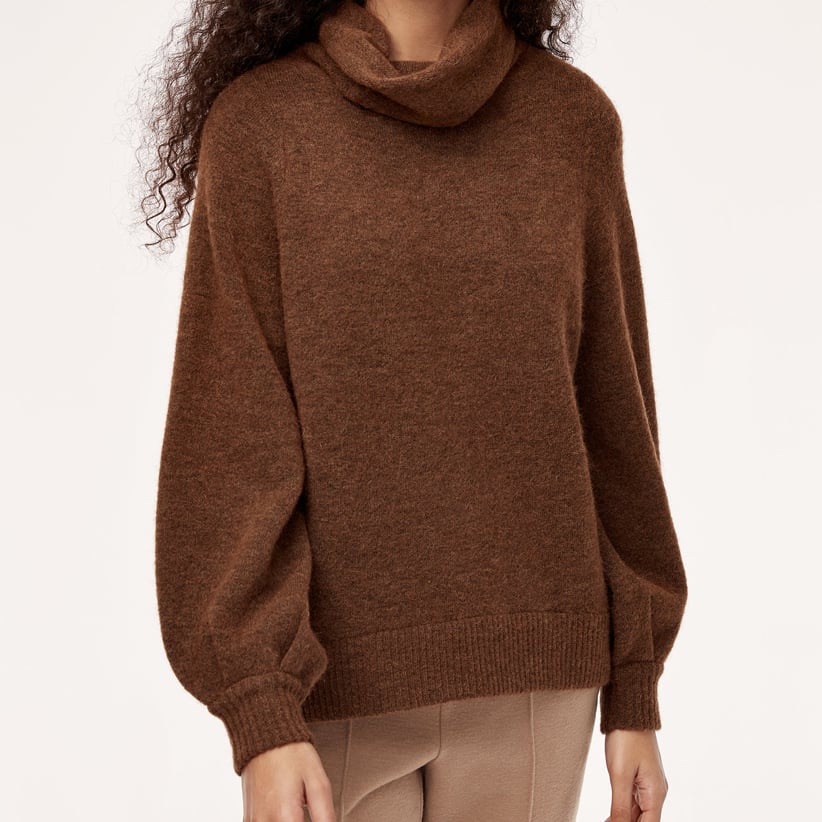 Brown oversized turtleneck sweater from Aritzia