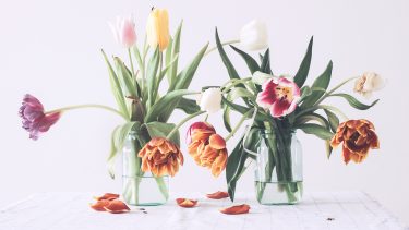 why I hate mother's day feature image shows vases of wilted tulips