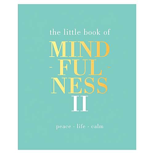 Cover for The Little Book of Mindfulness II by Alison Davies 