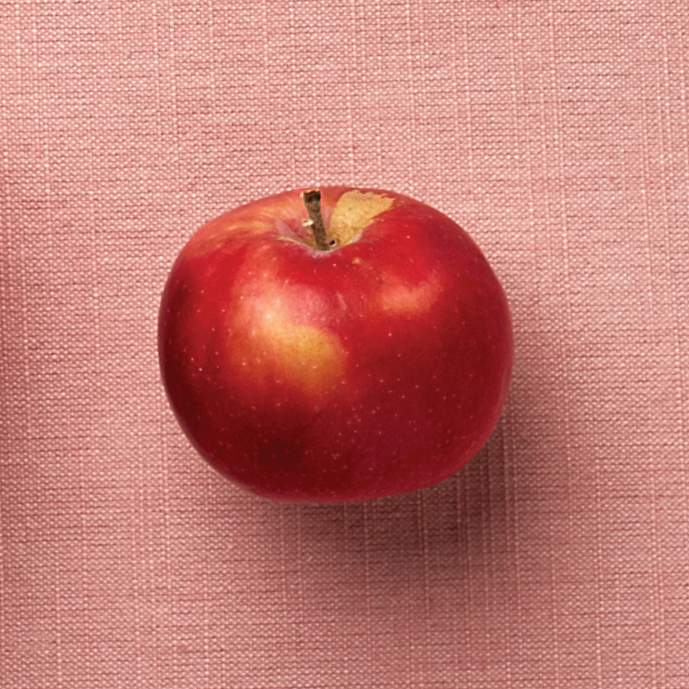 a red MacIntosh apple on a pink background