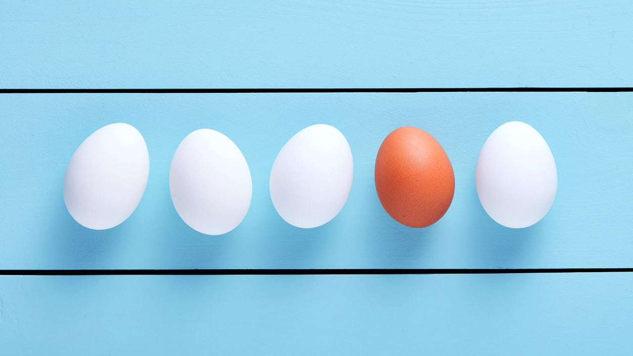 An image of one brown egg lined up among white eggs. 