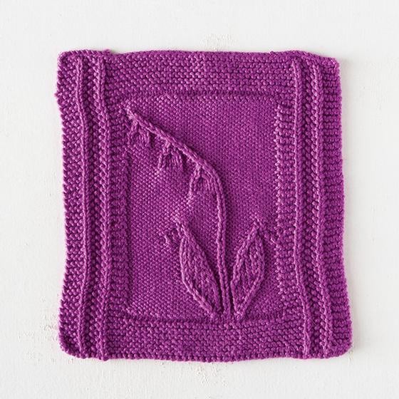 a knit dish cloth