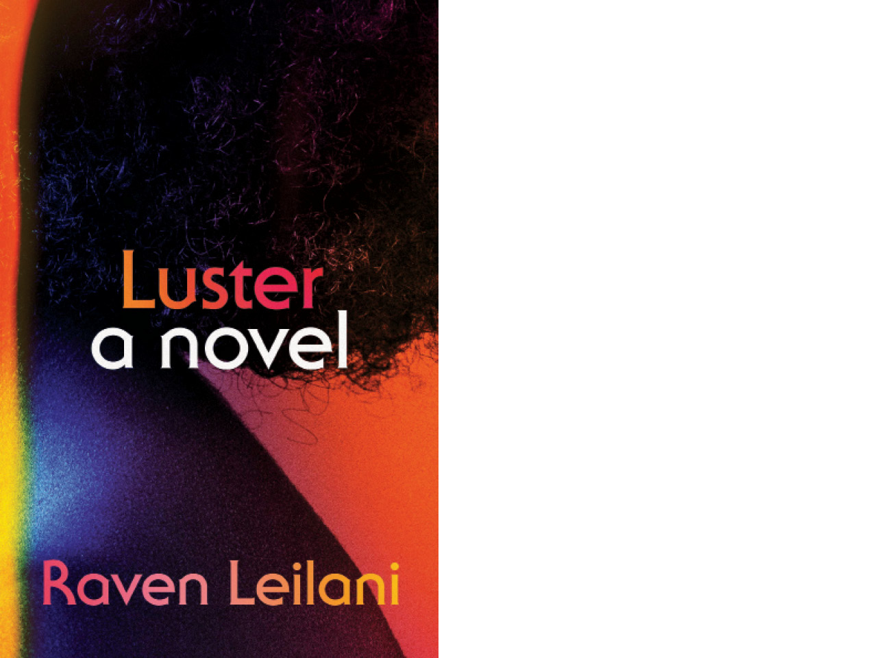 The cover of Luster