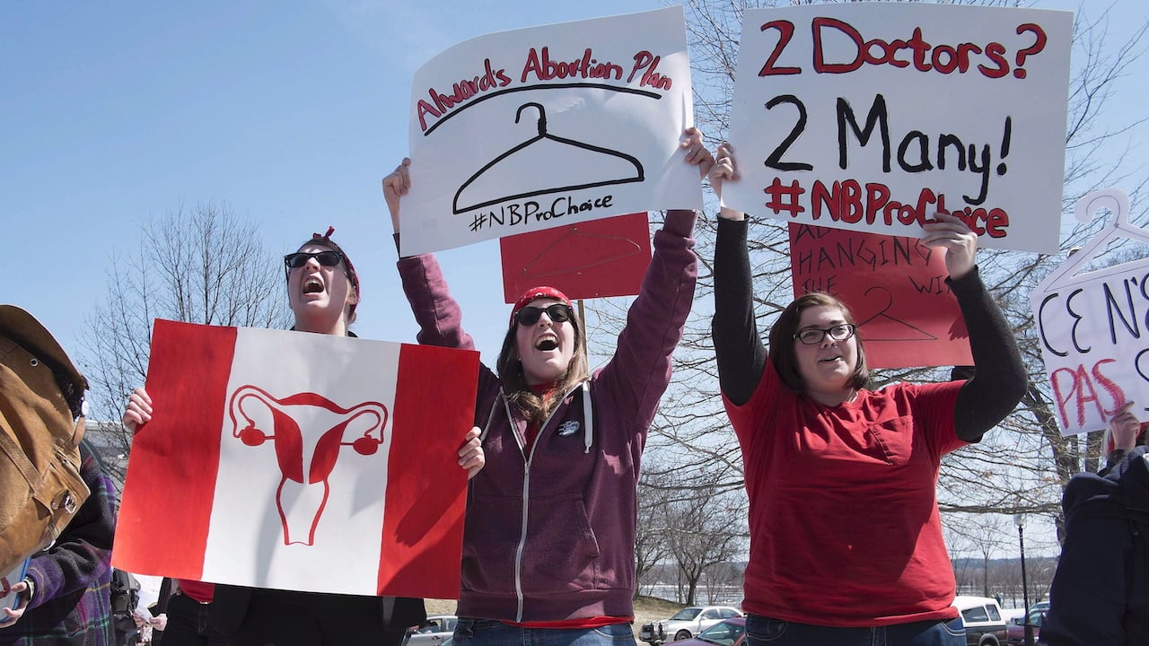 A photo of pro-choice demonstrators at the New Brunswick legislature in Fredericton in 2014. (Photo: The Canadian Press/David Smith)