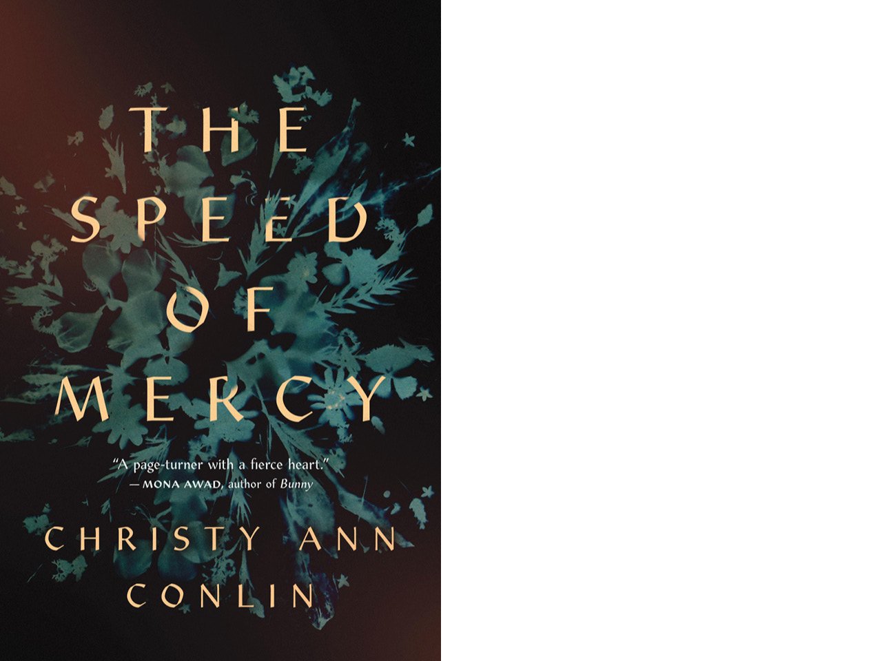 The cover of The Speed of Mercy