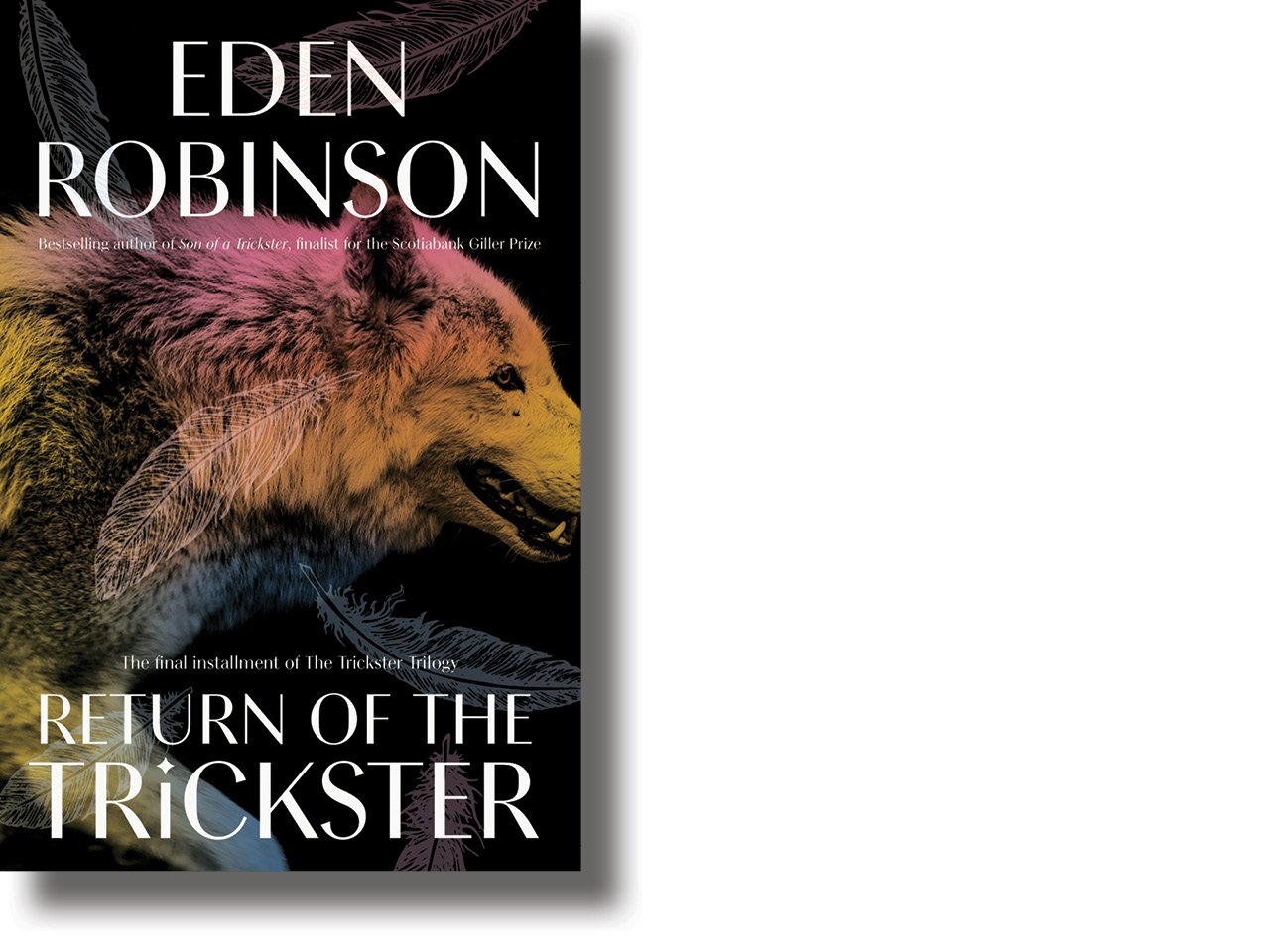 The cover of Return of the Trickster
