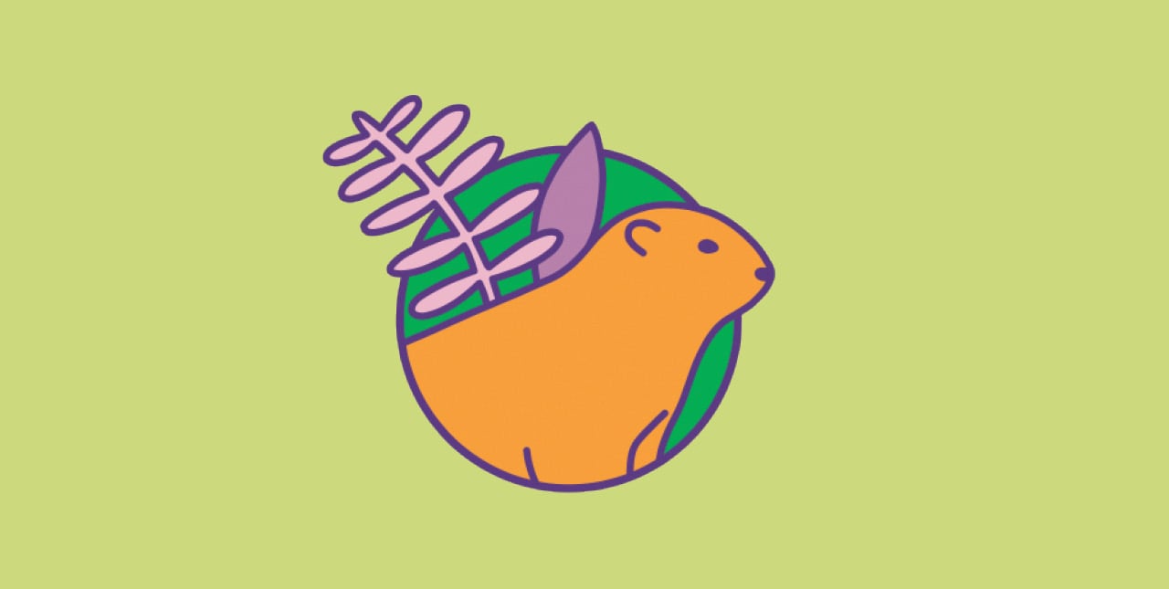 An illustration of a marmot