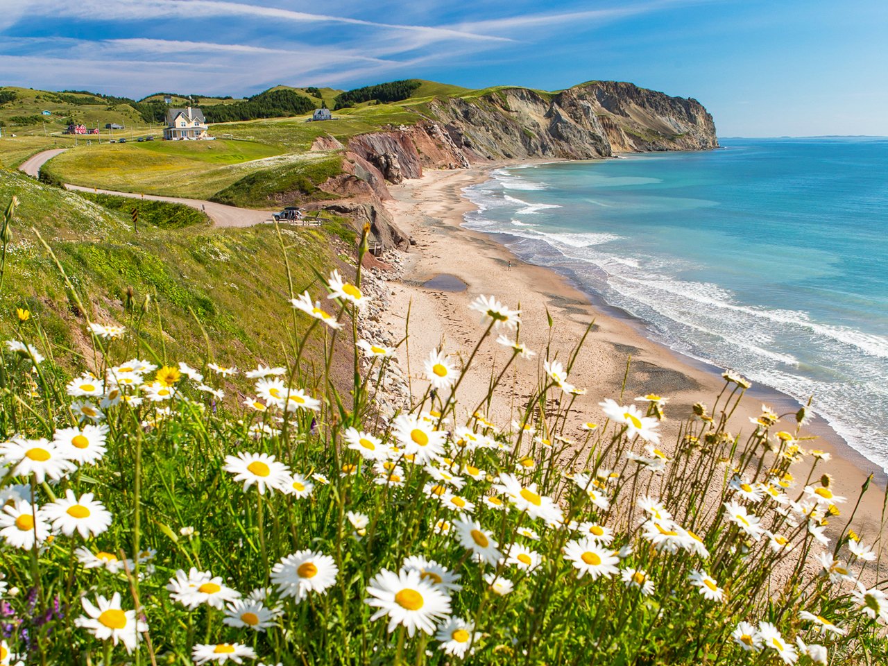 Landscape of dandelions, countryside, beaches and ocean